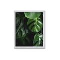 Picture of Greenleaf II _GroupedProduct_Rectangle_Portrait_Photography _GroupedProduct_Rectangle_Portrait_Framed_Matted_
