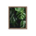 Picture of Greenleaf II _GroupedProduct_Rectangle_Portrait_Photography _GroupedProduct_Rectangle_Portrait_Framed_Matted_