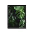 Picture of Greenleaf II _GroupedProduct_Rectangle_Portrait_Photography _GroupedProduct_Rectangle_Portrait_Framed_Matted_