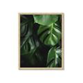 Picture of Greenleaf II _GroupedProduct_Rectangle_Portrait_Photography _GroupedProduct_Rectangle_Portrait_Framed_Matted_