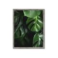 Picture of Greenleaf II _GroupedProduct_Rectangle_Portrait_Photography _GroupedProduct_Rectangle_Portrait_Framed_Matted_