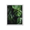 Picture of Greenleaf II _GroupedProduct_Rectangle_Portrait_Photography _GroupedProduct_Rectangle_Portrait_Framed_Matted_