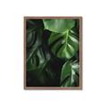 Picture of Greenleaf II _GroupedProduct_Rectangle_Portrait_Photography _GroupedProduct_Rectangle_Portrait_Framed_Matted_