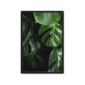 Picture of Greenleaf II _GroupedProduct_Rectangle_Portrait_Photography _GroupedProduct_Rectangle_Portrait_Framed_Matted_