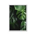 Picture of Greenleaf II _GroupedProduct_Rectangle_Portrait_Photography _GroupedProduct_Rectangle_Portrait_Framed_Matted_