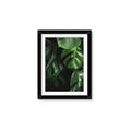 Picture of Greenleaf II _GroupedProduct_Rectangle_Portrait_Photography _GroupedProduct_Rectangle_Portrait_Framed_Matted_