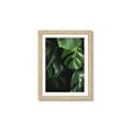 Picture of Greenleaf II _GroupedProduct_Rectangle_Portrait_Photography _GroupedProduct_Rectangle_Portrait_Framed_Matted_