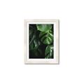 Picture of Greenleaf II _GroupedProduct_Rectangle_Portrait_Photography _GroupedProduct_Rectangle_Portrait_Framed_Matted_