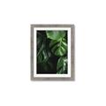 Picture of Greenleaf II _GroupedProduct_Rectangle_Portrait_Photography _GroupedProduct_Rectangle_Portrait_Framed_Matted_