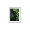 Picture of Greenleaf II _GroupedProduct_Rectangle_Portrait_Photography _GroupedProduct_Rectangle_Portrait_Framed_Matted_