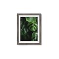 Picture of Greenleaf II _GroupedProduct_Rectangle_Portrait_Photography _GroupedProduct_Rectangle_Portrait_Framed_Matted_