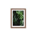 Picture of Greenleaf II _GroupedProduct_Rectangle_Portrait_Photography _GroupedProduct_Rectangle_Portrait_Framed_Matted_