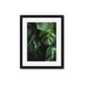 Picture of Greenleaf II _GroupedProduct_Rectangle_Portrait_Photography _GroupedProduct_Rectangle_Portrait_Framed_Matted_
