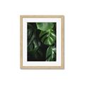 Picture of Greenleaf II _GroupedProduct_Rectangle_Portrait_Photography _GroupedProduct_Rectangle_Portrait_Framed_Matted_