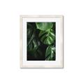 Picture of Greenleaf II _GroupedProduct_Rectangle_Portrait_Photography _GroupedProduct_Rectangle_Portrait_Framed_Matted_