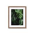 Picture of Greenleaf II _GroupedProduct_Rectangle_Portrait_Photography _GroupedProduct_Rectangle_Portrait_Framed_Matted_