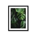Picture of Greenleaf II _GroupedProduct_Rectangle_Portrait_Photography _GroupedProduct_Rectangle_Portrait_Framed_Matted_
