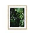 Picture of Greenleaf II _GroupedProduct_Rectangle_Portrait_Photography _GroupedProduct_Rectangle_Portrait_Framed_Matted_