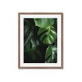 Picture of Greenleaf II _GroupedProduct_Rectangle_Portrait_Photography _GroupedProduct_Rectangle_Portrait_Framed_Matted_