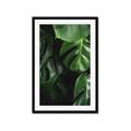 Picture of Greenleaf II _GroupedProduct_Rectangle_Portrait_Photography _GroupedProduct_Rectangle_Portrait_Framed_Matted_