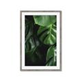 Picture of Greenleaf II _GroupedProduct_Rectangle_Portrait_Photography _GroupedProduct_Rectangle_Portrait_Framed_Matted_