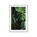 Picture of Greenleaf II _GroupedProduct_Rectangle_Portrait_Photography _GroupedProduct_Rectangle_Portrait_Framed_Matted_