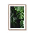 Picture of Greenleaf II _GroupedProduct_Rectangle_Portrait_Photography _GroupedProduct_Rectangle_Portrait_Framed_Matted_