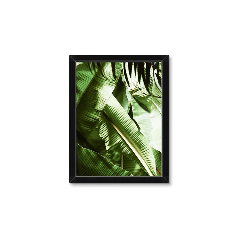 Picture of Greenleaf III _GroupedProduct_Rectangle_Portrait_Photography _GroupedProduct_Rectangle_Portrait_Framed_Matted_