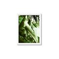 Picture of Greenleaf III _GroupedProduct_Rectangle_Portrait_Photography _GroupedProduct_Rectangle_Portrait_Framed_Matted_