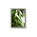 Picture of Greenleaf III _GroupedProduct_Rectangle_Portrait_Photography _GroupedProduct_Rectangle_Portrait_Framed_Matted_