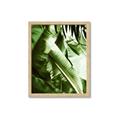 Picture of Greenleaf III _GroupedProduct_Rectangle_Portrait_Photography _GroupedProduct_Rectangle_Portrait_Framed_Matted_