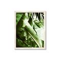 Picture of Greenleaf III _GroupedProduct_Rectangle_Portrait_Photography _GroupedProduct_Rectangle_Portrait_Framed_Matted_