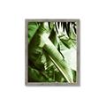 Picture of Greenleaf III _GroupedProduct_Rectangle_Portrait_Photography _GroupedProduct_Rectangle_Portrait_Framed_Matted_