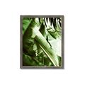 Picture of Greenleaf III _GroupedProduct_Rectangle_Portrait_Photography _GroupedProduct_Rectangle_Portrait_Framed_Matted_