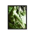 Picture of Greenleaf III _GroupedProduct_Rectangle_Portrait_Photography _GroupedProduct_Rectangle_Portrait_Framed_Matted_