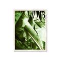 Picture of Greenleaf III _GroupedProduct_Rectangle_Portrait_Photography _GroupedProduct_Rectangle_Portrait_Framed_Matted_