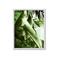 Picture of Greenleaf III _GroupedProduct_Rectangle_Portrait_Photography _GroupedProduct_Rectangle_Portrait_Framed_Matted_