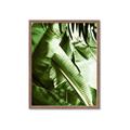 Picture of Greenleaf III _GroupedProduct_Rectangle_Portrait_Photography _GroupedProduct_Rectangle_Portrait_Framed_Matted_