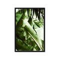 Picture of Greenleaf III _GroupedProduct_Rectangle_Portrait_Photography _GroupedProduct_Rectangle_Portrait_Framed_Matted_