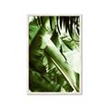 Picture of Greenleaf III _GroupedProduct_Rectangle_Portrait_Photography _GroupedProduct_Rectangle_Portrait_Framed_Matted_