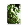Picture of Greenleaf III _GroupedProduct_Rectangle_Portrait_Photography _GroupedProduct_Rectangle_Portrait_Framed_Matted_