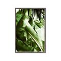 Picture of Greenleaf III _GroupedProduct_Rectangle_Portrait_Photography _GroupedProduct_Rectangle_Portrait_Framed_Matted_