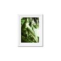 Picture of Greenleaf III _GroupedProduct_Rectangle_Portrait_Photography _GroupedProduct_Rectangle_Portrait_Framed_Matted_