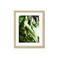 Picture of Greenleaf III _GroupedProduct_Rectangle_Portrait_Photography _GroupedProduct_Rectangle_Portrait_Framed_Matted_
