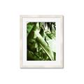Picture of Greenleaf III _GroupedProduct_Rectangle_Portrait_Photography _GroupedProduct_Rectangle_Portrait_Framed_Matted_