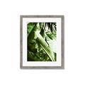 Picture of Greenleaf III _GroupedProduct_Rectangle_Portrait_Photography _GroupedProduct_Rectangle_Portrait_Framed_Matted_