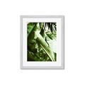 Picture of Greenleaf III _GroupedProduct_Rectangle_Portrait_Photography _GroupedProduct_Rectangle_Portrait_Framed_Matted_