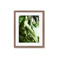 Picture of Greenleaf III _GroupedProduct_Rectangle_Portrait_Photography _GroupedProduct_Rectangle_Portrait_Framed_Matted_