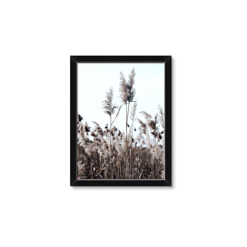 Picture of In the Fields _GroupedProduct_Rectangle_Portrait_Photography _GroupedProduct_Rectangle_Portrait_Framed_Matted_
