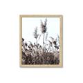 Picture of In the Fields _GroupedProduct_Rectangle_Portrait_Photography _GroupedProduct_Rectangle_Portrait_Framed_Matted_